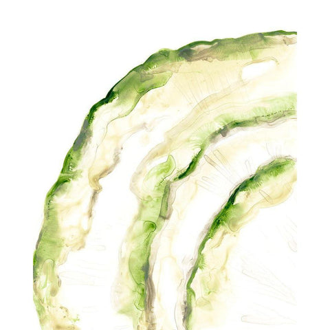 Lichen Halo I Black Modern Wood Framed Art Print by Vess, June Erica