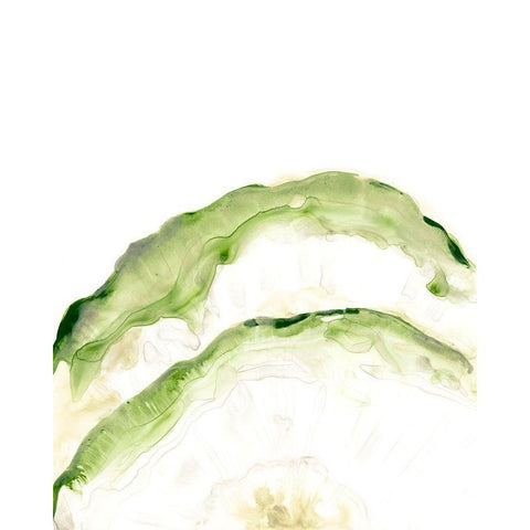 Lichen Halo II White Modern Wood Framed Art Print by Vess, June Erica