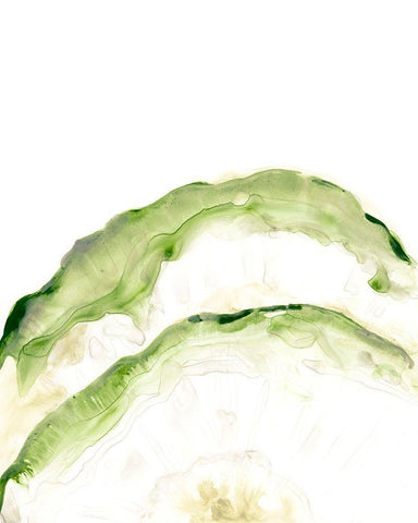 Lichen Halo II Black Ornate Wood Framed Art Print with Double Matting by Vess, June Erica