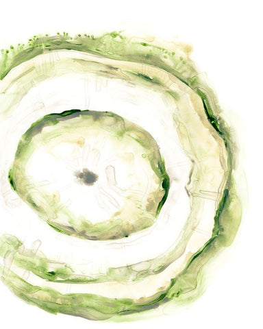 Lichen Halo III White Modern Wood Framed Art Print with Double Matting by Vess, June Erica