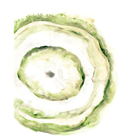 Lichen Halo III Black Modern Wood Framed Art Print with Double Matting by Vess, June Erica