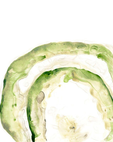 Lichen Halo IV Black Ornate Wood Framed Art Print with Double Matting by Vess, June Erica