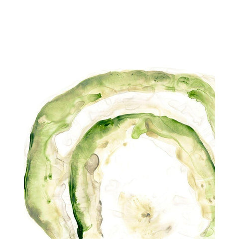 Lichen Halo IV Black Modern Wood Framed Art Print with Double Matting by Vess, June Erica