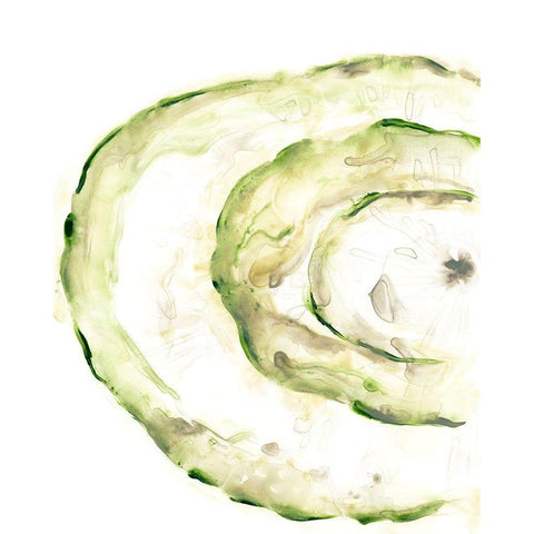 Lichen Halo V White Modern Wood Framed Art Print by Vess, June Erica