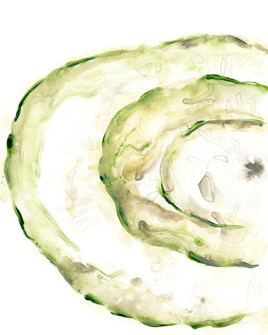 Lichen Halo V White Modern Wood Framed Art Print with Double Matting by Vess, June Erica