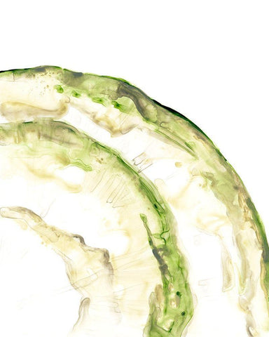 Lichen Halo VI Black Ornate Wood Framed Art Print with Double Matting by Vess, June Erica