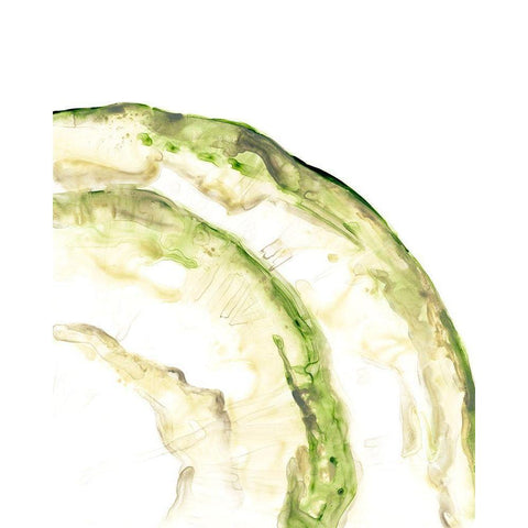 Lichen Halo VI White Modern Wood Framed Art Print by Vess, June Erica