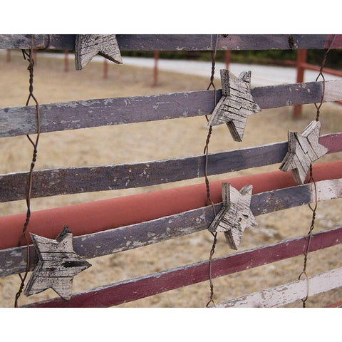 Stars And Stripes Black Modern Wood Framed Art Print with Double Matting by Jasper, Sisa