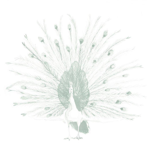 Image Only