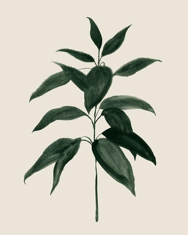 Soft Greenery I White Modern Wood Framed Art Print with Double Matting by Popp, Grace