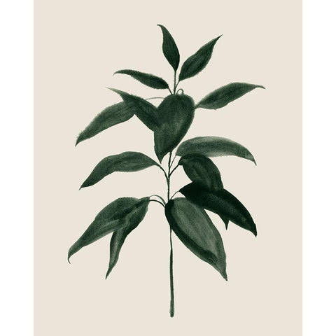 Soft Greenery I Black Modern Wood Framed Art Print by Popp, Grace