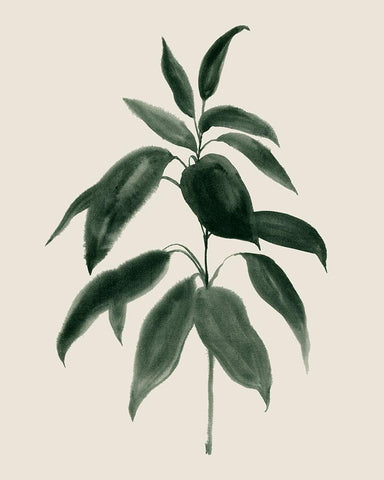 Soft Greenery II White Modern Wood Framed Art Print with Double Matting by Popp, Grace