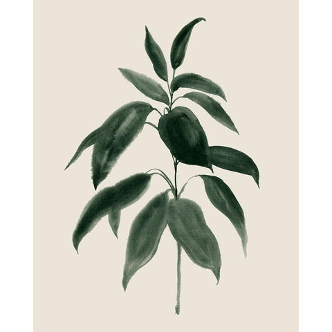 Soft Greenery II Black Modern Wood Framed Art Print by Popp, Grace