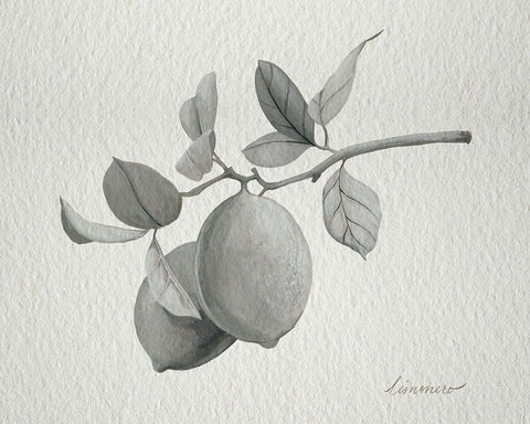 Limonero I White Modern Wood Framed Art Print with Double Matting by Popp, Grace