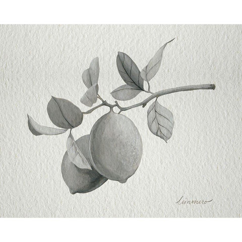 Limonero I White Modern Wood Framed Art Print by Popp, Grace