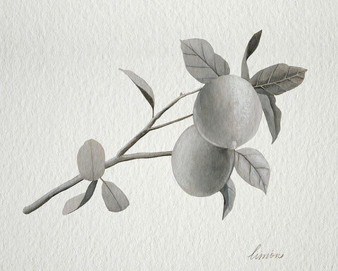 Limonero II Black Ornate Wood Framed Art Print with Double Matting by Popp, Grace