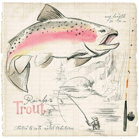 Trout Journal I Black Modern Wood Framed Art Print with Double Matting by Parker, Jennifer Paxton