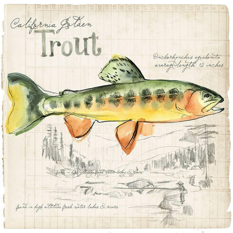 Trout Journal IV Gold Ornate Wood Framed Art Print with Double Matting by Parker, Jennifer Paxton