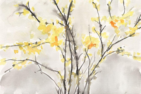 Blissful Elegance I Black Ornate Wood Framed Art Print with Double Matting by Dixon, Samuel