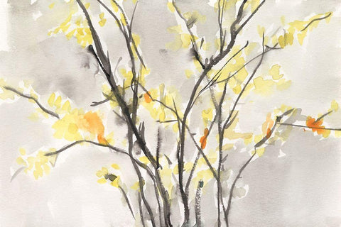 Blissful Elegance II White Modern Wood Framed Art Print with Double Matting by Dixon, Samuel