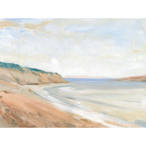 Shoreline Study I Gold Ornate Wood Framed Art Print with Double Matting by OToole, Tim