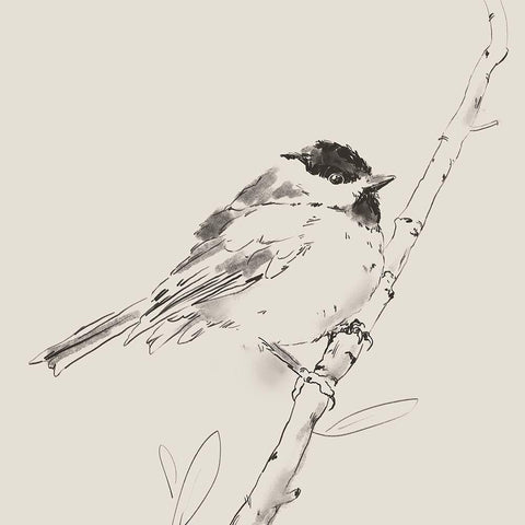 Black Capped Chickadee I White Modern Wood Framed Art Print by Green, Jacob