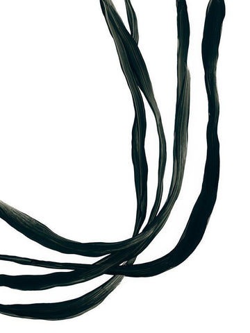 Onyx Ribbon I Black Ornate Wood Framed Art Print with Double Matting by Vess, June Erica