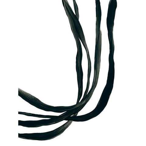 Onyx Ribbon I Black Modern Wood Framed Art Print with Double Matting by Vess, June Erica