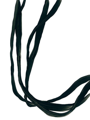 Onyx Ribbon II Black Ornate Wood Framed Art Print with Double Matting by Vess, June Erica