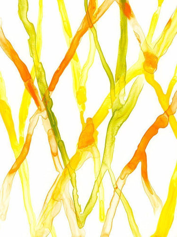 Runnel III Black Ornate Wood Framed Art Print with Double Matting by Vess, June Erica