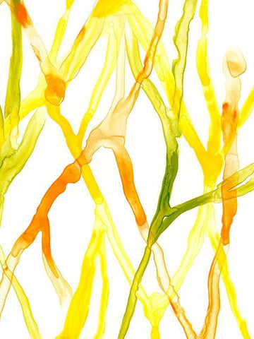 Runnel IV White Modern Wood Framed Art Print with Double Matting by Vess, June Erica