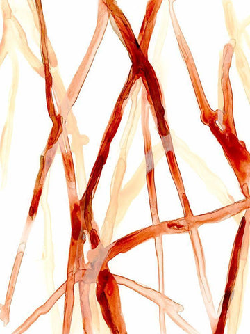 Runnel V White Modern Wood Framed Art Print with Double Matting by Vess, June Erica