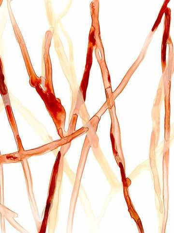 Runnel VI White Modern Wood Framed Art Print with Double Matting by Vess, June Erica