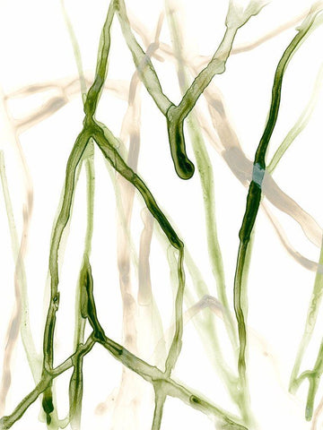 Runnel VII Black Ornate Wood Framed Art Print with Double Matting by Vess, June Erica