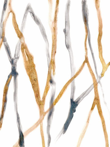 Runnel X Black Ornate Wood Framed Art Print with Double Matting by Vess, June Erica