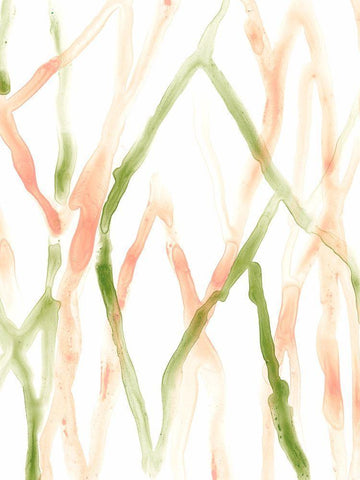 Runnel XIV Black Ornate Wood Framed Art Print with Double Matting by Vess, June Erica