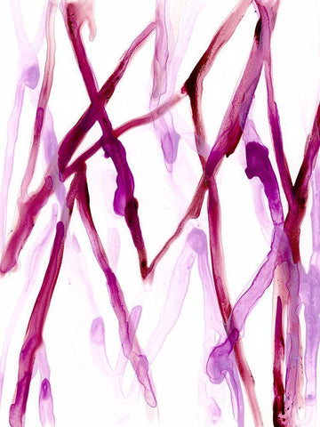 Runnel XV Black Ornate Wood Framed Art Print with Double Matting by Vess, June Erica