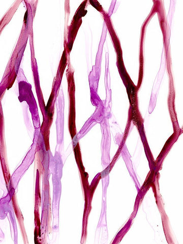 Runnel XVI White Modern Wood Framed Art Print with Double Matting by Vess, June Erica