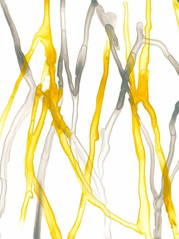 Runnel XIX Black Ornate Wood Framed Art Print with Double Matting by Vess, June Erica