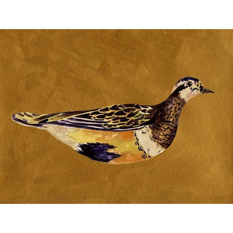 Feathered Friend II White Modern Wood Framed Art Print by Wang, Melissa