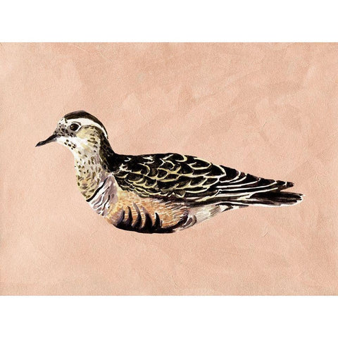 Feathered Friend III White Modern Wood Framed Art Print by Wang, Melissa