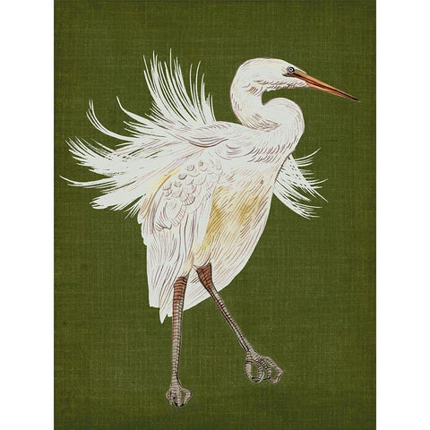 Heron Plumage I White Modern Wood Framed Art Print by Wang, Melissa