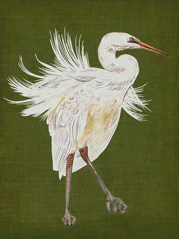 Heron Plumage I White Modern Wood Framed Art Print with Double Matting by Wang, Melissa