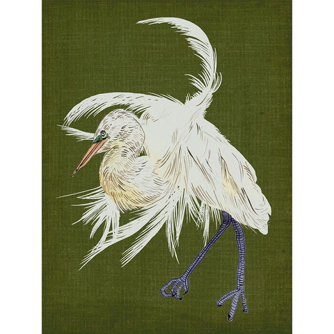 Heron Plumage II Black Modern Wood Framed Art Print with Double Matting by Wang, Melissa