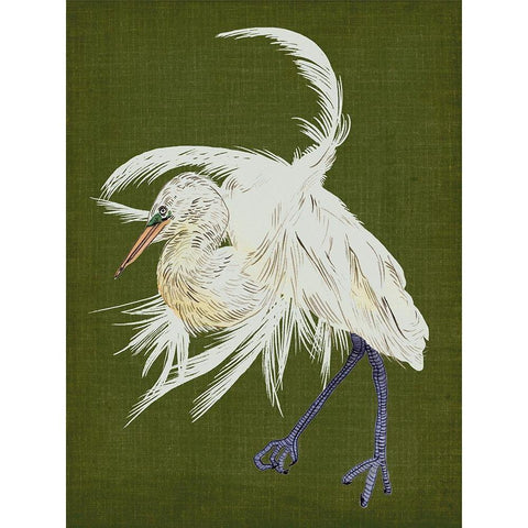 Heron Plumage II White Modern Wood Framed Art Print by Wang, Melissa