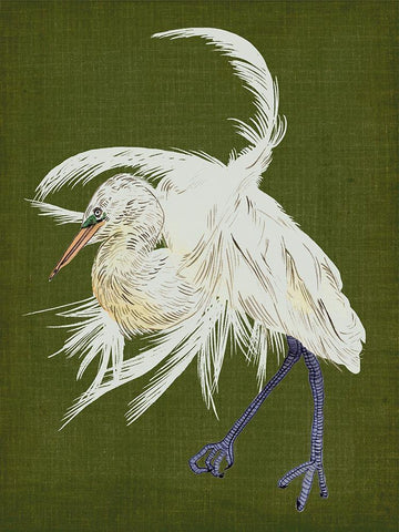 Heron Plumage II Black Ornate Wood Framed Art Print with Double Matting by Wang, Melissa
