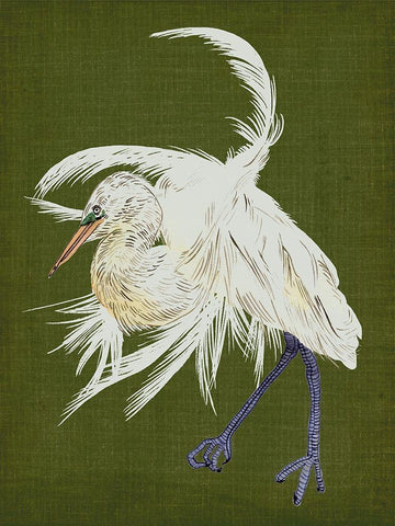 Heron Plumage II White Modern Wood Framed Art Print with Double Matting by Wang, Melissa