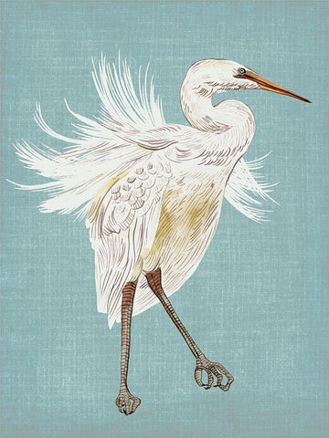 Heron Plumage III White Modern Wood Framed Art Print with Double Matting by Wang, Melissa