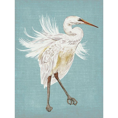 Heron Plumage III Black Modern Wood Framed Art Print with Double Matting by Wang, Melissa