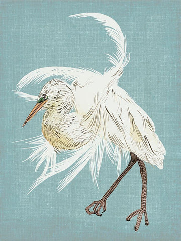 Heron Plumage IV White Modern Wood Framed Art Print with Double Matting by Wang, Melissa